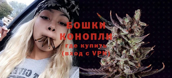 ПСИЛОЦИБИНОВЫЕ ГРИБЫ Наволоки