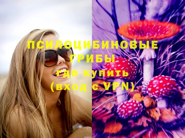 ПСИЛОЦИБИНОВЫЕ ГРИБЫ Наволоки