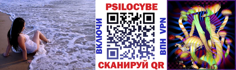 Галлюциногенные грибы GOLDEN TEACHER  Дмитровск 